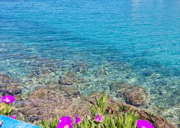 Pandora * Skála Marión